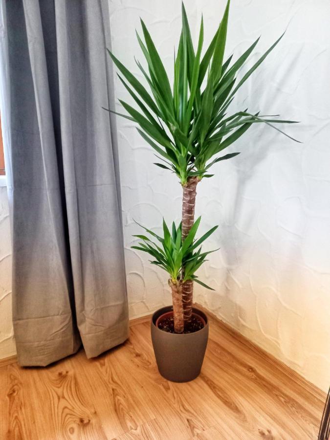Ferienwohnung Am Wald Waidring Eksteriør bilde
