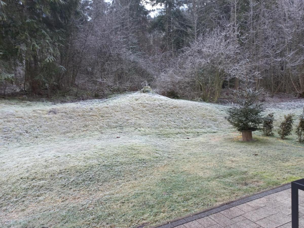 Ferienwohnung Am Wald Waidring Eksteriør bilde